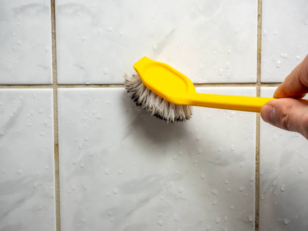Best Affordable Mold Removal  in Arabi, LA