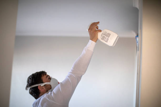 Best Best Mold Removal Companies  in Arabi, LA